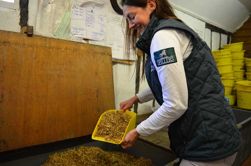 Ekonomiczne Karmienie Konia Zimą: Sprytne Oszczędności dla Właścicieli
